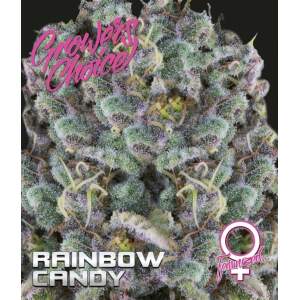 Growers Choice Rainbow Candy 3 pcs feminised