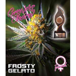 Growers Choice Frosty Gelato 5 pcs feminised