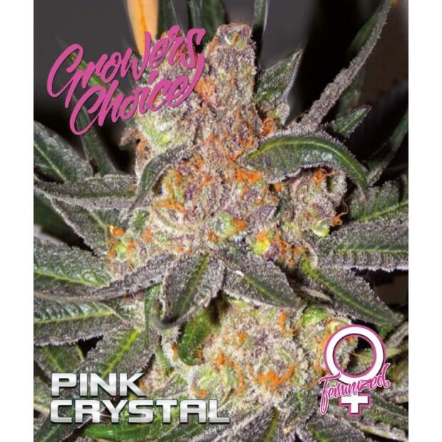 Growers Choice Pink Crystal 3 pcs feminised