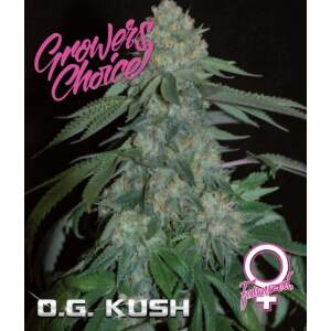 Growers Choice OG Kush 5 pcs feminised