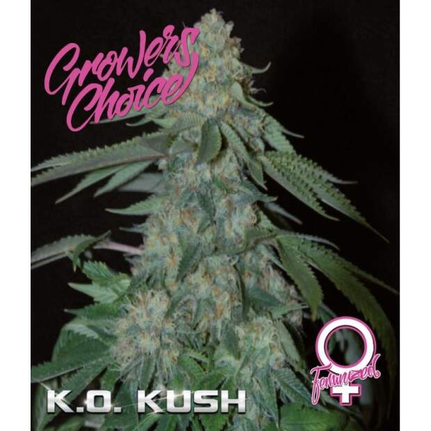 Growers Choice KO Kush 3 pcs feminised