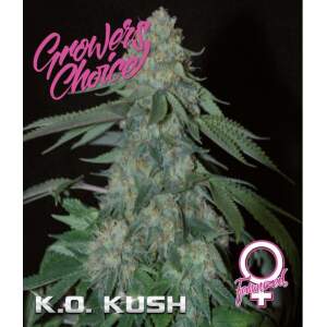 Growers Choice KO Kush 3 pcs feminised