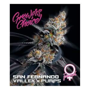 Growers Choice San Fernando Valley X Purps 3 Stk feminisiert
