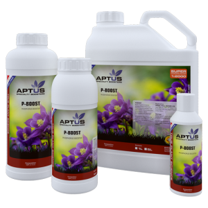 Aptus P Boost