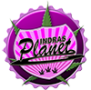 Indras Planet Startseite
